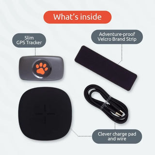 GPS Tracker for Dogs - Smart Activity Tracker, Satellite Tracking with Unlimited Range - 100% Waterproof Pet Tracker (Black)