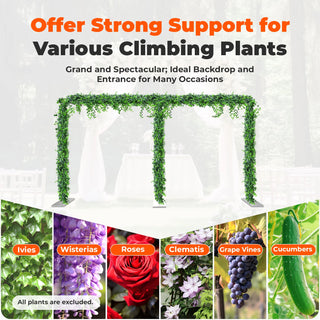 Modern Rectangular Silver Stainless Steel Wedding Arch Stand