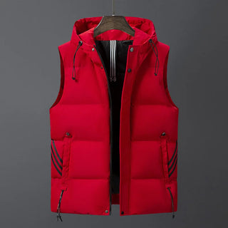 Waistcoat for men spring and autumn waistcoat for Korean men fashion slim handsome vest warm down cotton vest with hat