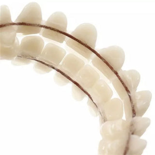 1Set Resin Teeth Denture Full Mouth Upper Lower Acrylic Artificial Preformed False Tooth Model Dedicated Teeth ﻿Dentistry Tool