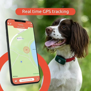 GPS Tracker for Dogs - Smart Activity Tracker, Satellite Tracking with Unlimited Range - 100% Waterproof Pet Tracker (Black)