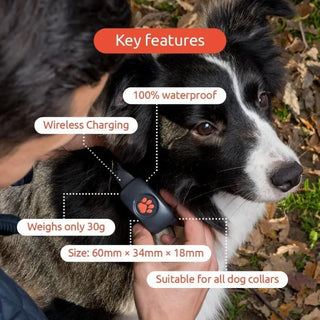 GPS Tracker for Dogs - Smart Activity Tracker, Satellite Tracking with Unlimited Range - 100% Waterproof Pet Tracker (Black)