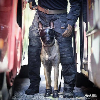 Tactical Outdoors Suit UF Combat Shirts Pants Set Men Field Training Camouflage FROG Scouting Police Uniform CS Airsoft Shot